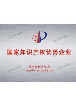 National Intellectual Property Advantage Enterprise