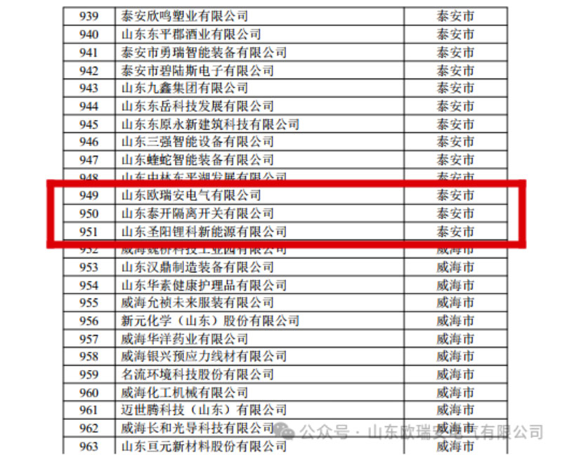 Ouruian Electric has been Selected as One of the ''Morning Star Factories'' for Shandong Province's Digital Economy in 2024! Ouruian Electric has been Selected as One of the ''Morning Star Factories'' for Shandong Province's Digital Economy in 2024!