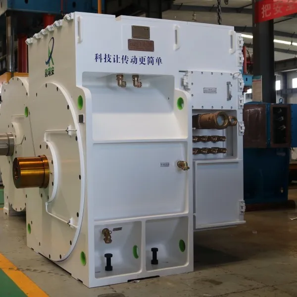 TYV Efficient Permanent Magnet Synchronous Vector Motor