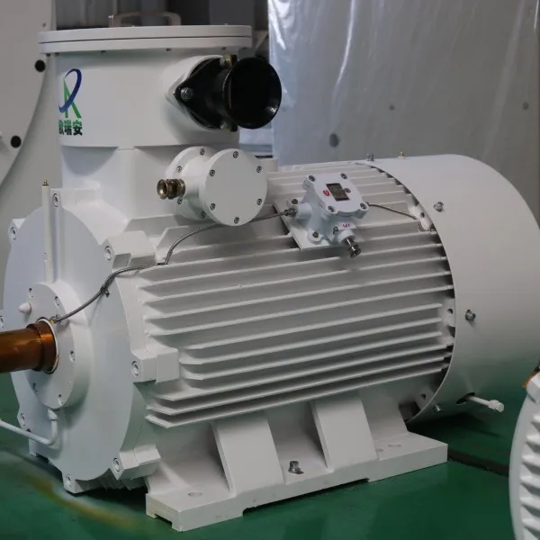 TYV Efficient Permanent Magnet Synchronous Vector Motor