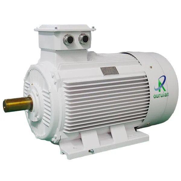 TYV Efficient Permanent Magnet Synchronous Vector Motor