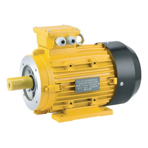 MS/MS2 Three-Phase Asynchronous Motor