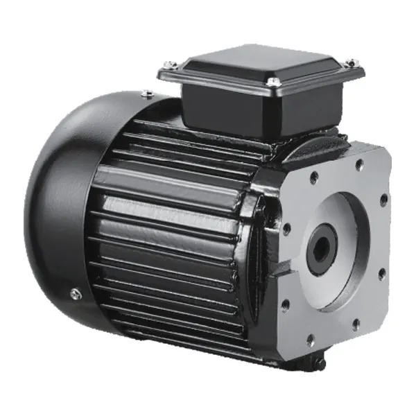 oil pump motor china