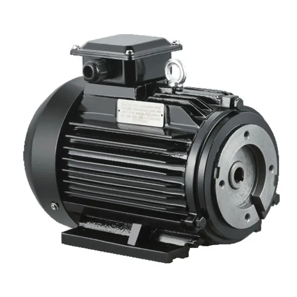oil pump motor odm