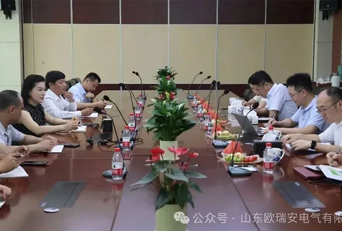 Deepen Cooperation, Seek Common Development - Leaders from Shanghai Electric Pay a Visit to Ouruian Electric for Inspection & Exchange